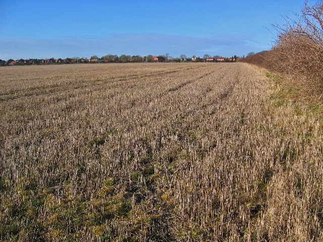 File:Farmland South of Wetwang - geograph.org.uk - 110651.jpg