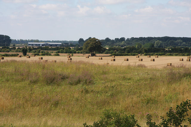 Farmland west of Feltwell - geograph.org.uk - 1439318