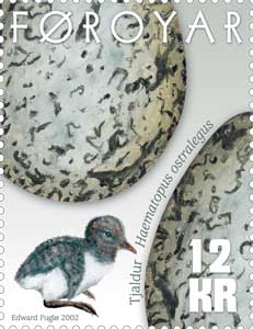 File:Faroe stamp 421 bird eggs oystercatcher.jpg