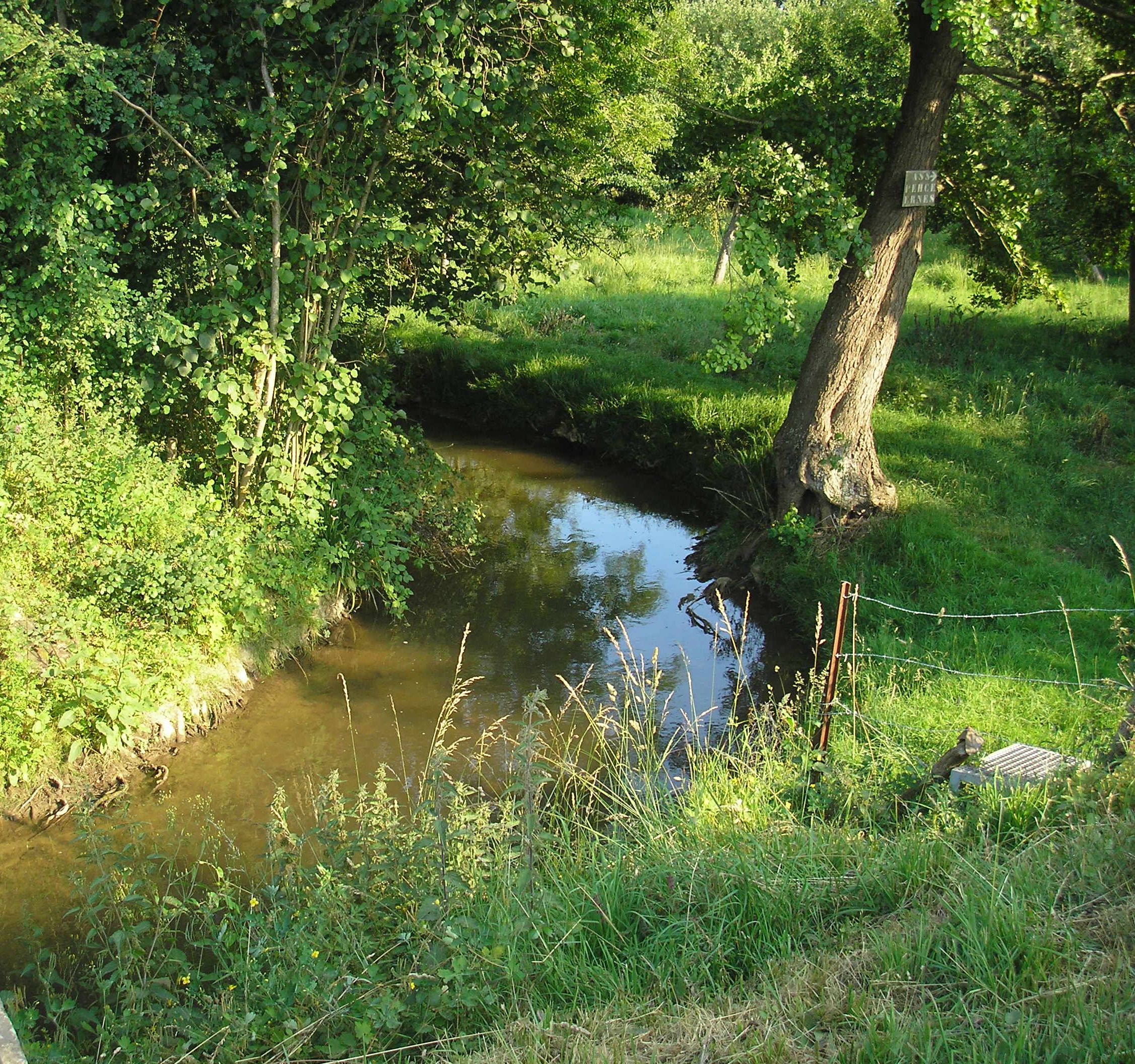 Condé-sur-ifs