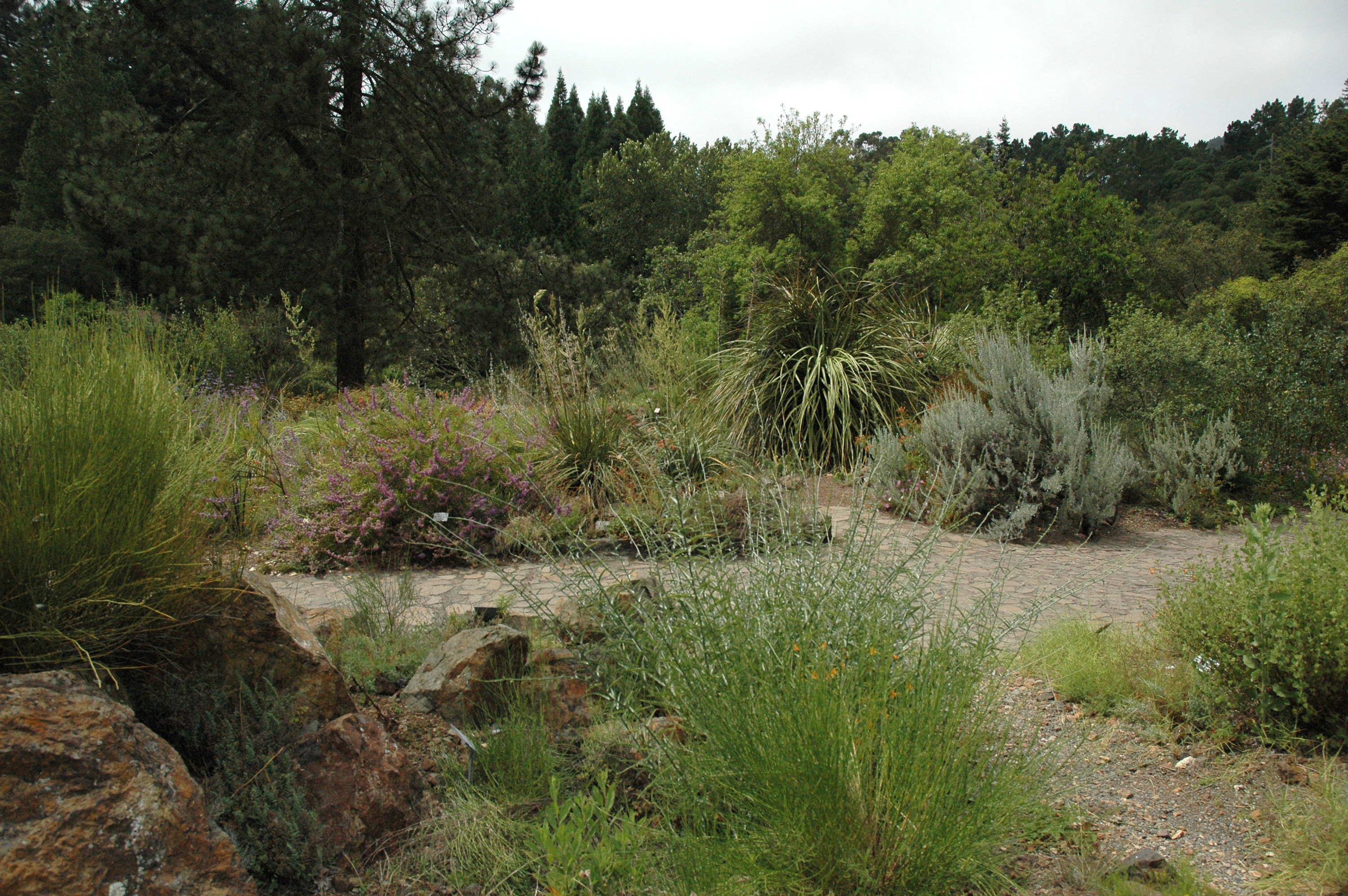 Tilden Regional Park Wikiwand