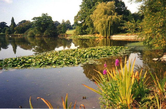 File:Lake at Spetchley Park Gardens - geograph.org.uk - 630274.jpg