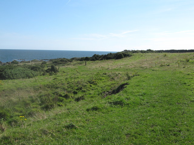 File:Looking eastwards along the coastal path - geograph.org.uk - 1539227.jpg