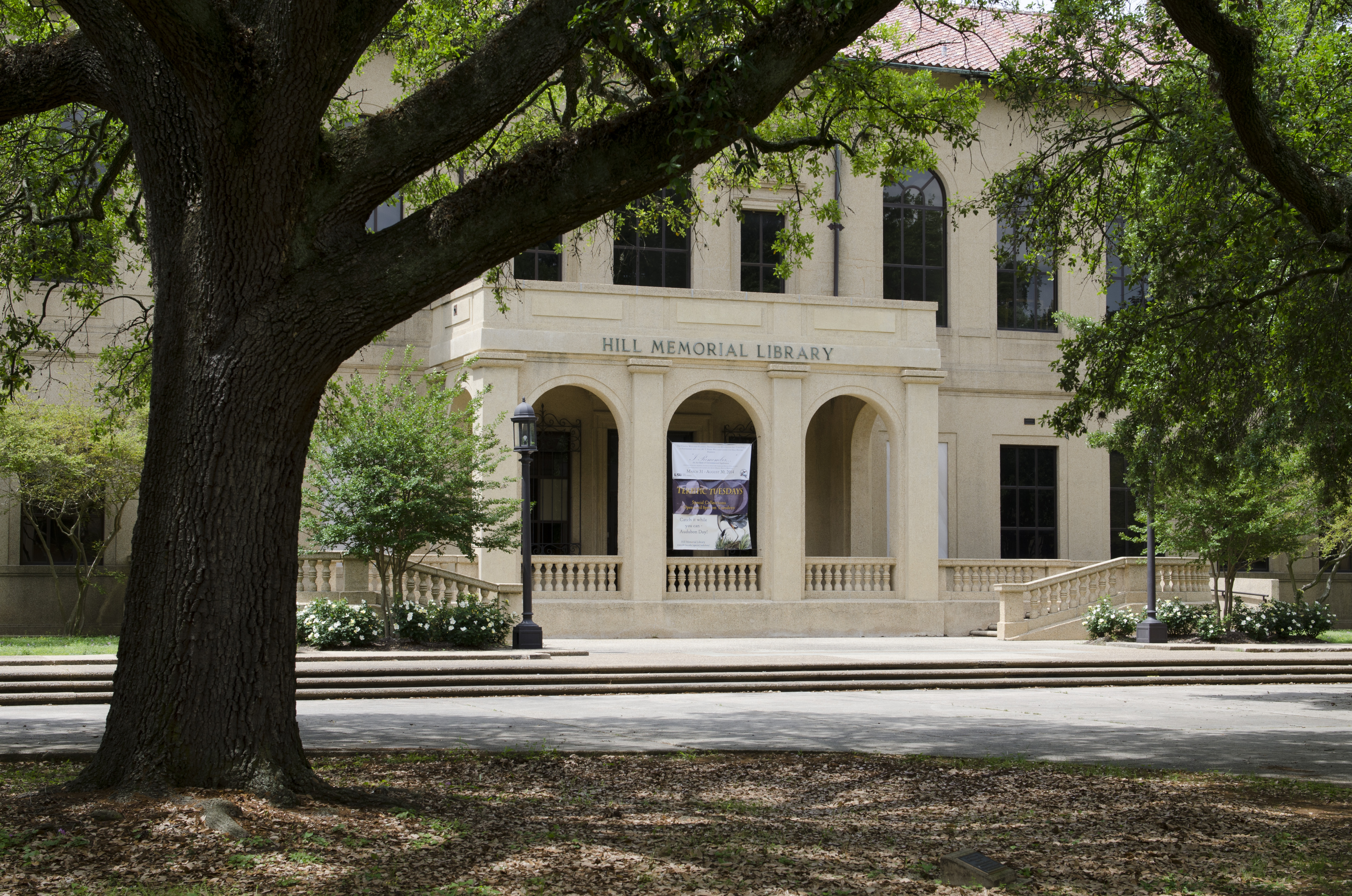 File:Louisiana State University, Baton Rouge, Louisana ...