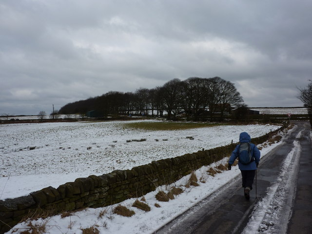 File:On Allen Lane in winter - geograph.org.uk - 1722494.jpg