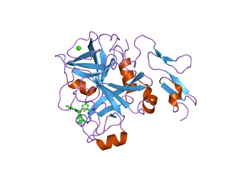 File:PDB 1lpk EBI.jpg