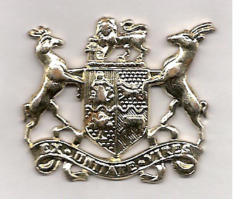 File:PRE 1994 SOUTH AFRICAN WO2 BADGE.jpg