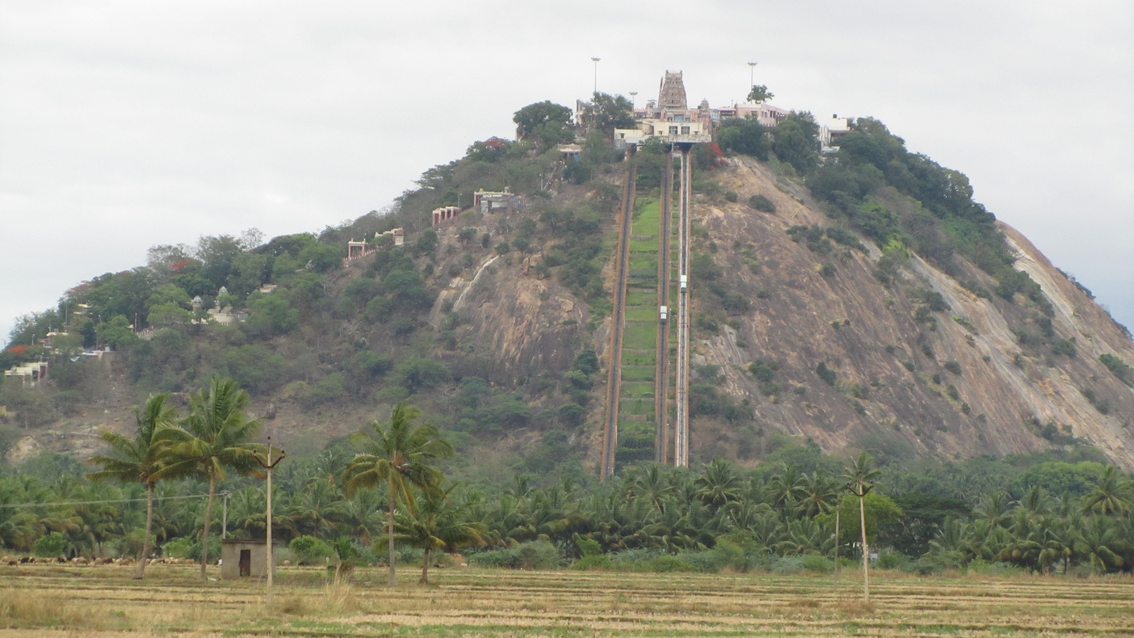 Tamil Nadu Tourism 13