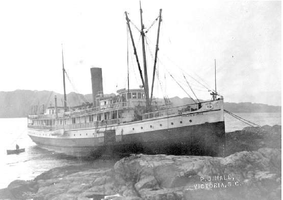 Enigmes navales, identification - Page 4 Princess_Beatrice_%28steamship%29_aground_at_Noble_Island