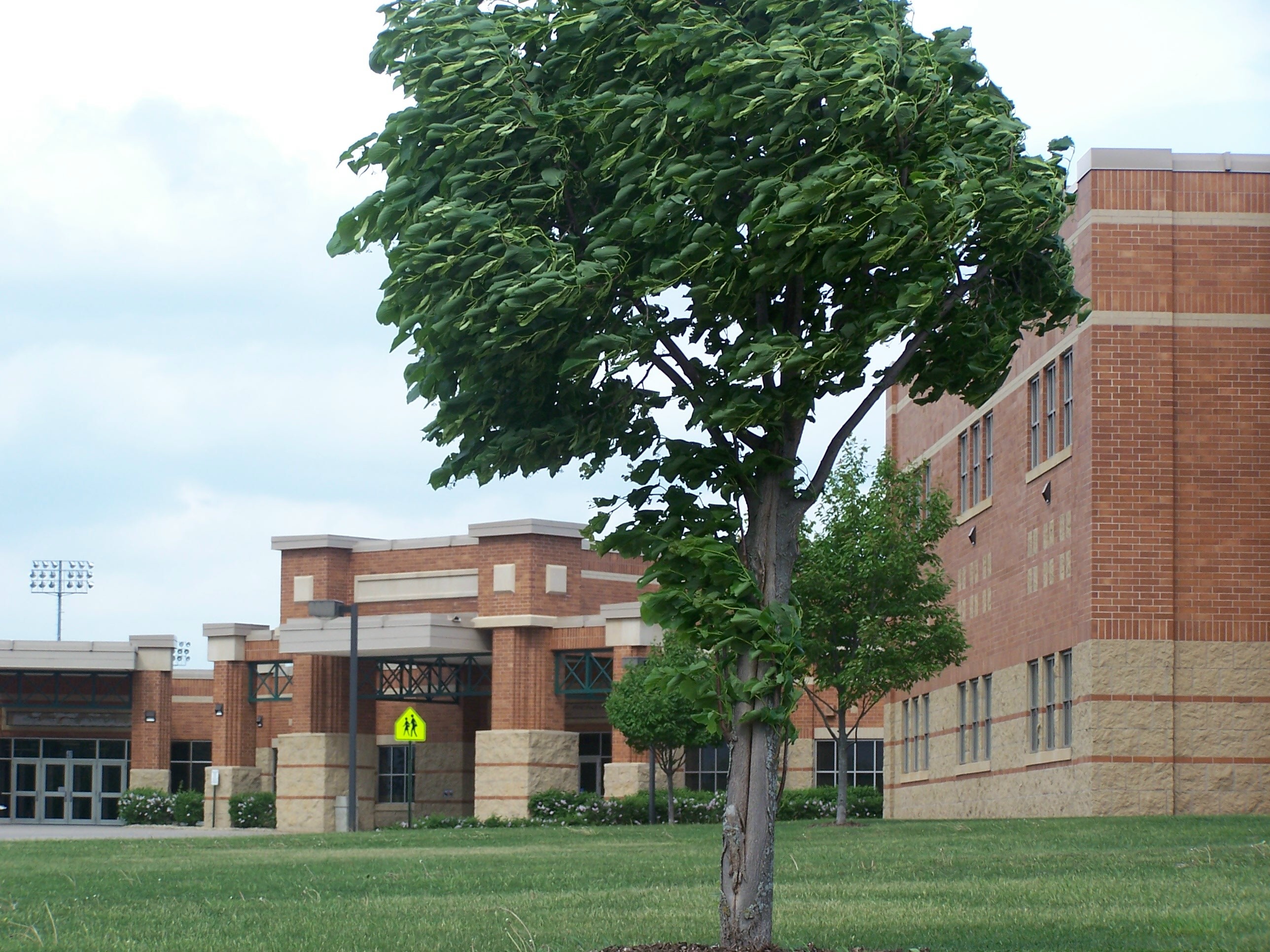 File:Red Wing High School.jpg - Wikimedia Commons