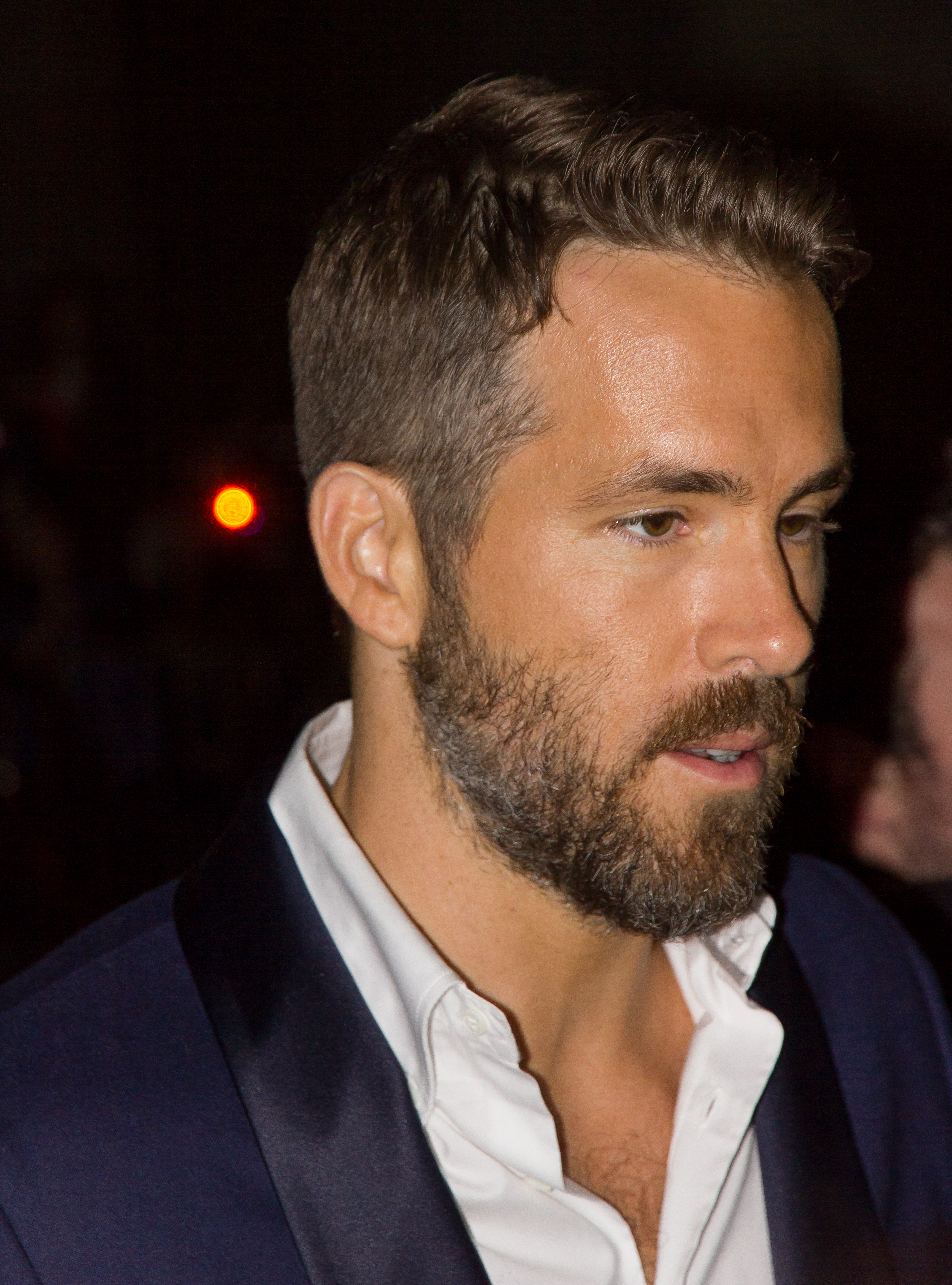 The Voices: is Ryan Reynolds destined to be Hollywood's nearly man?, The  Voices