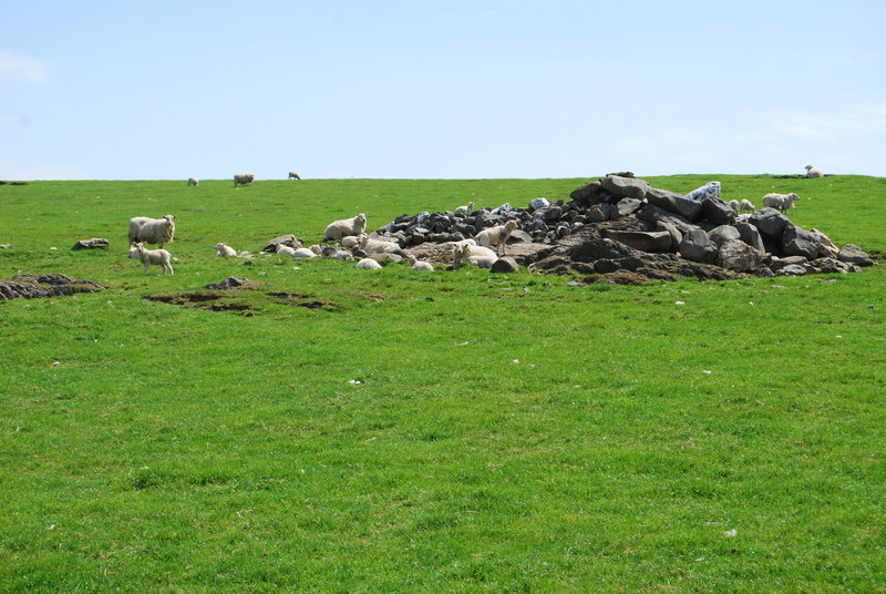 File:Stone heap from pasture "improvement" - geograph.org.uk - 1878926.jpg