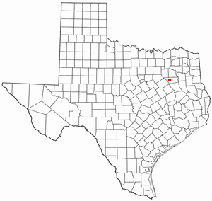 Caney City is a town in Henderson County, Texas, United States. The population was 217 at the 2010 census.