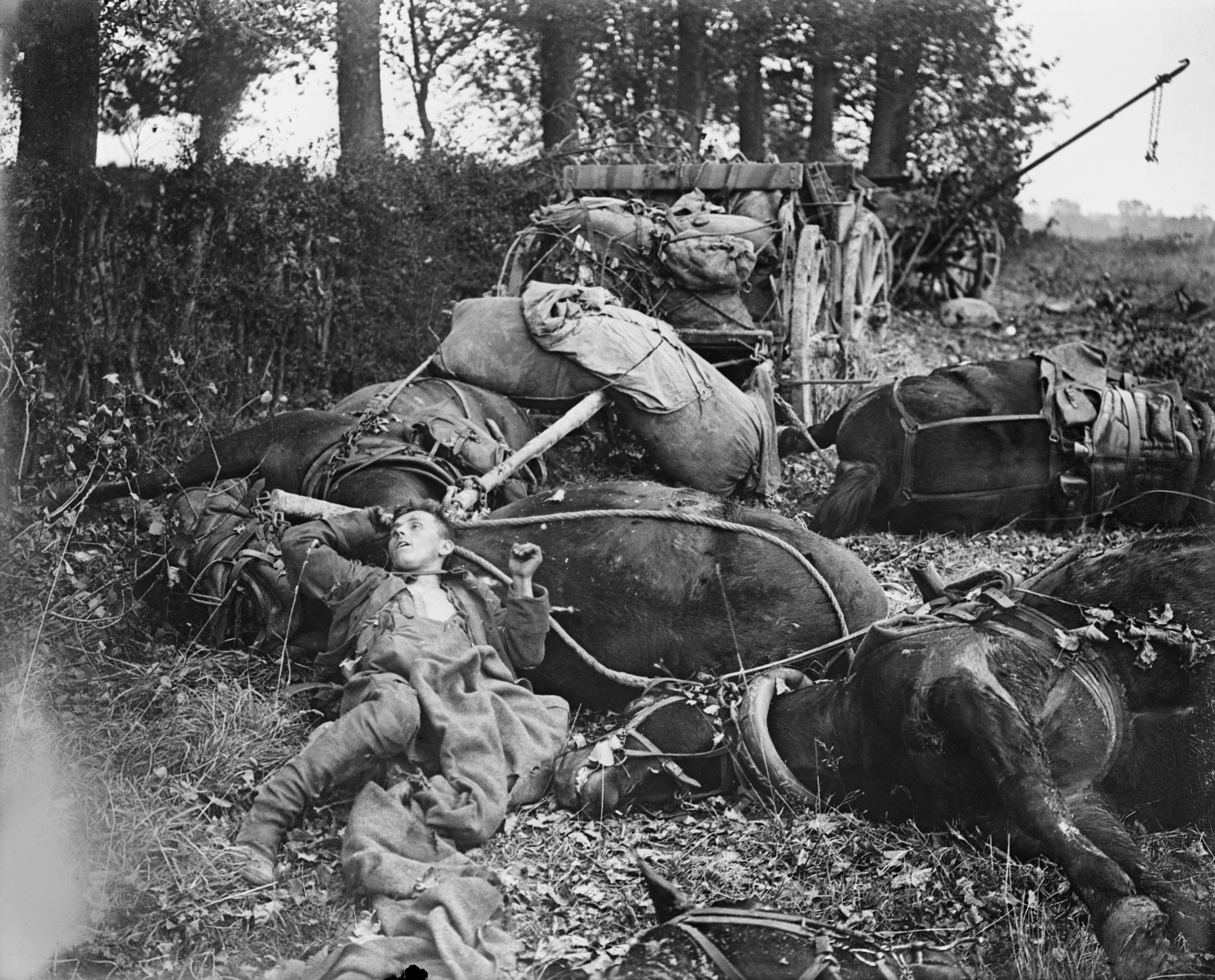 "The body of a German soldier and bodies of horses on the battlefield during the British advance. In the background is a wrecked ammunition supply cart. Le Quesnoy, 27 October 1918." Taken by John Warwick Brooke.