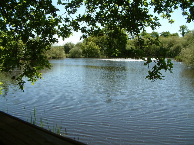 File:The Lake, Thorndon Country Park, Brentwood - geograph.org.uk - 420889.jpg