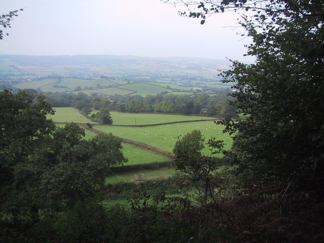 File:The Scarp Slope below Hollow Head Cross - geograph.org.uk - 974574.jpg