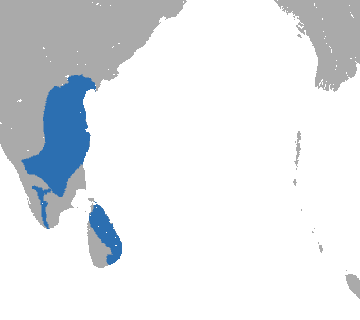 File:Tufted Gray Langur area.png