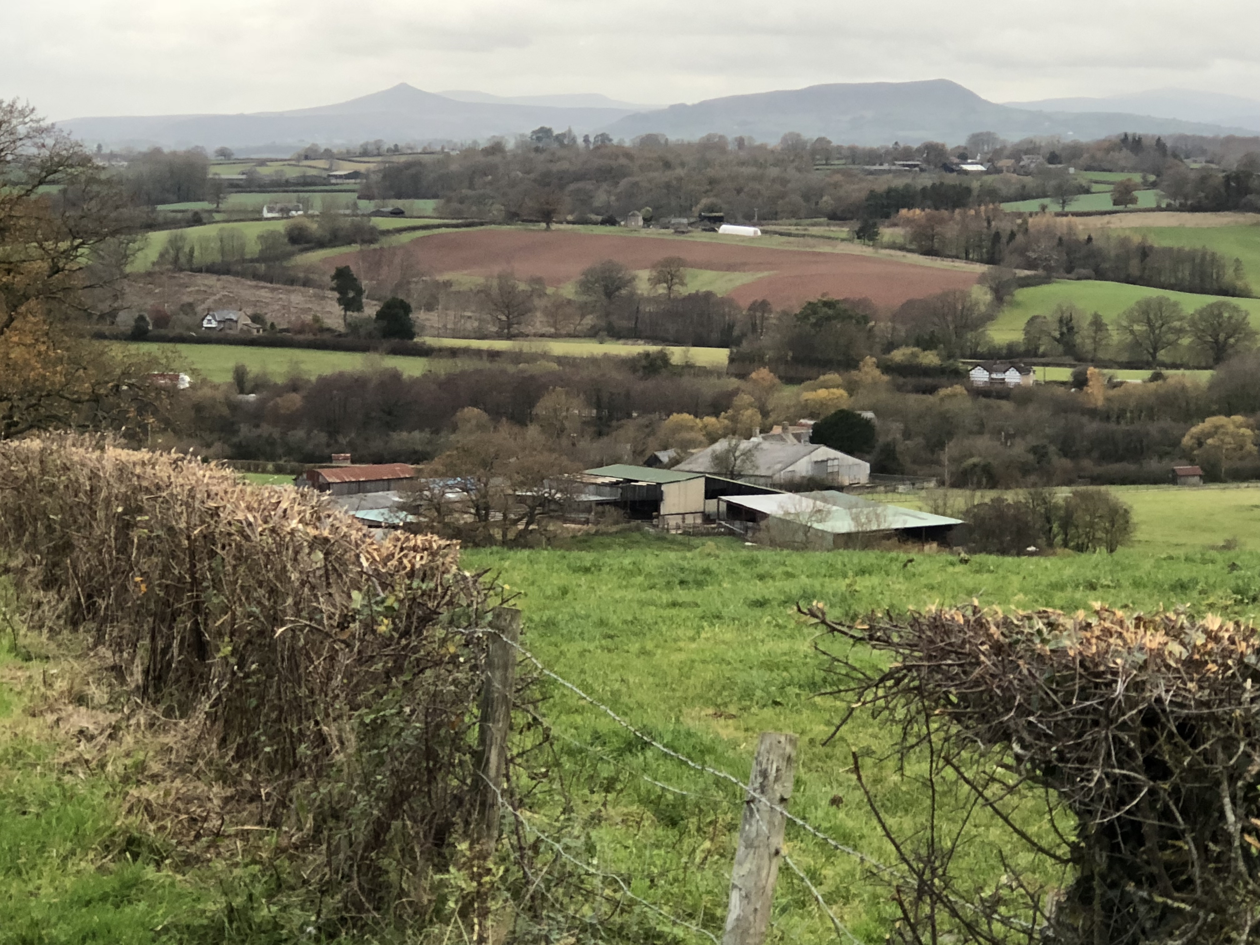 Upper Tal-y-fan, Dingestow