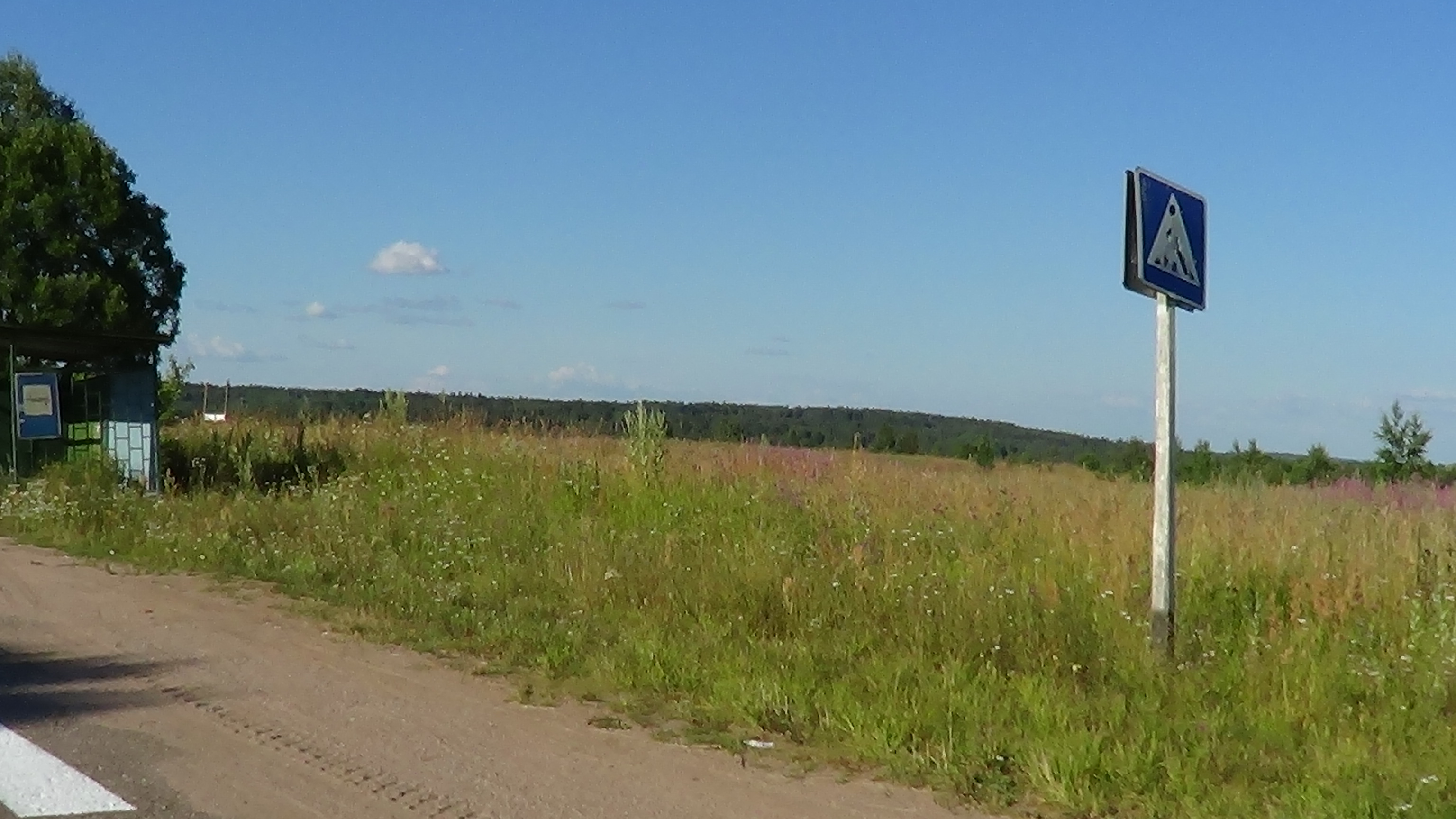 Тельбовичи Новгородская область