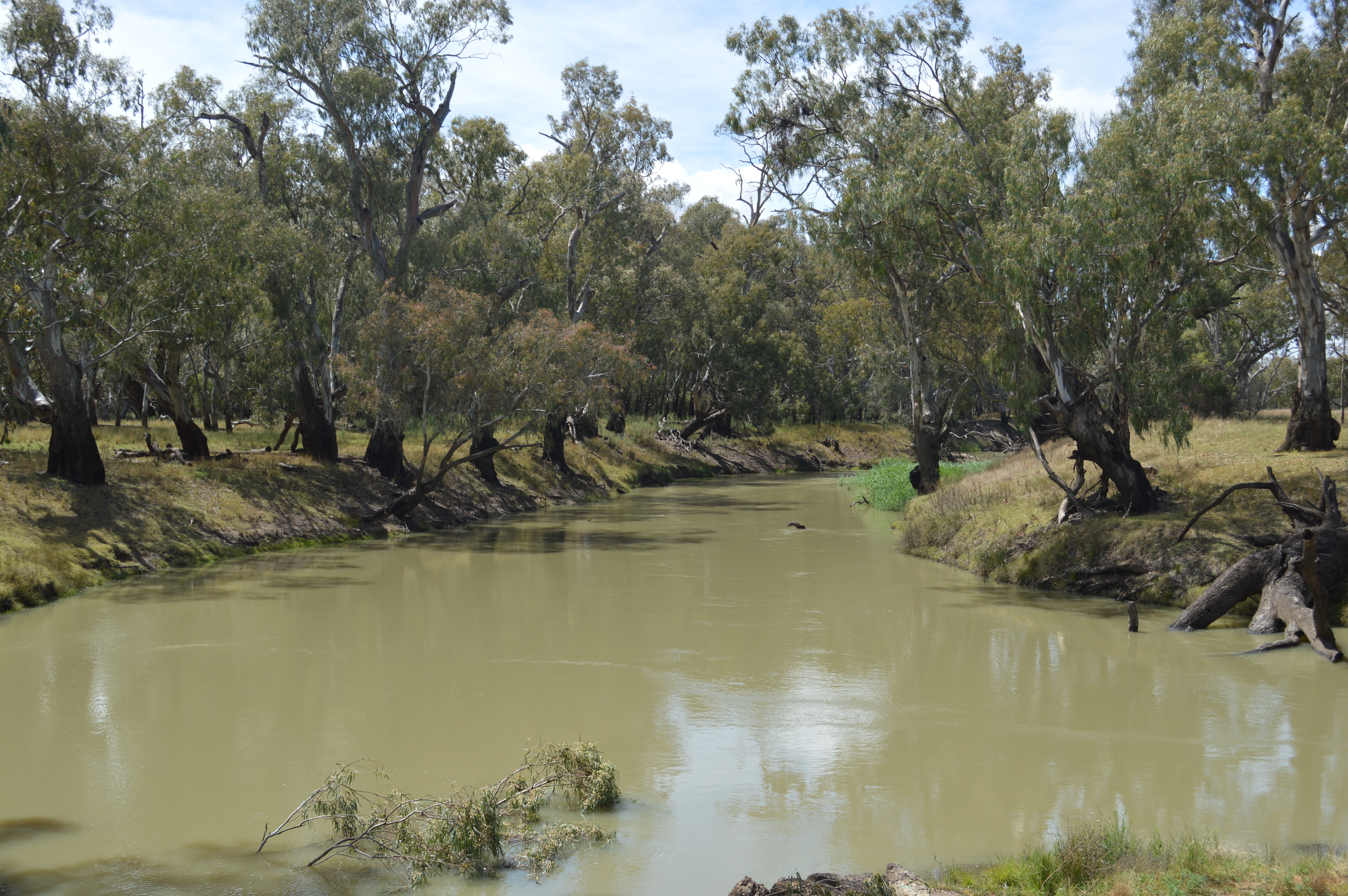 Lachlan River