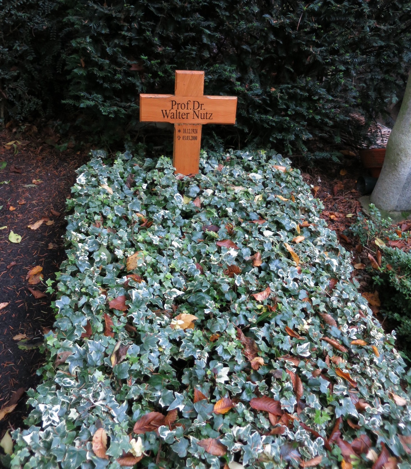 Grab auf dem Friedhof Melaten (Oktober 2017)