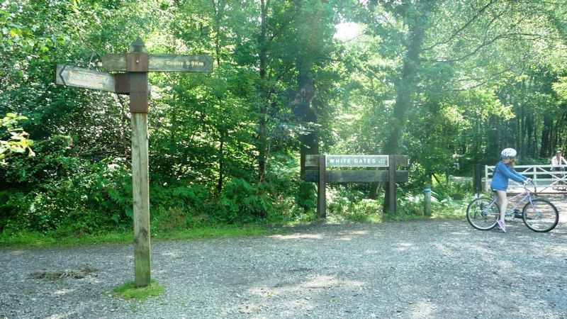 White Gates Junction on Family Cycle Trail - geograph.org.uk - 4113551