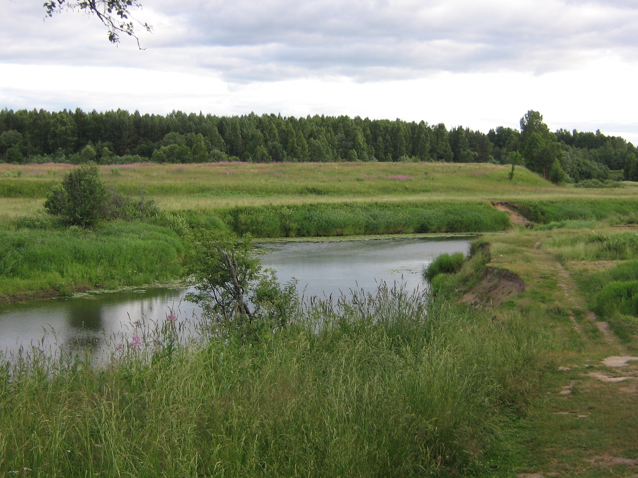 Река тёбза Костромская область