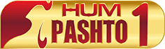 22-35-30-cropped-pashto-logo.png