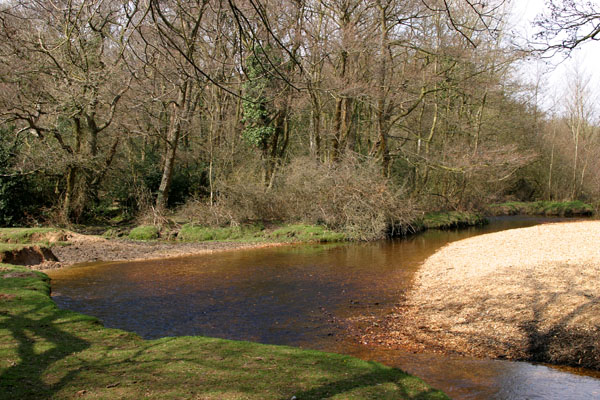 File:Avon Water - geograph.org.uk - 31579.jpg