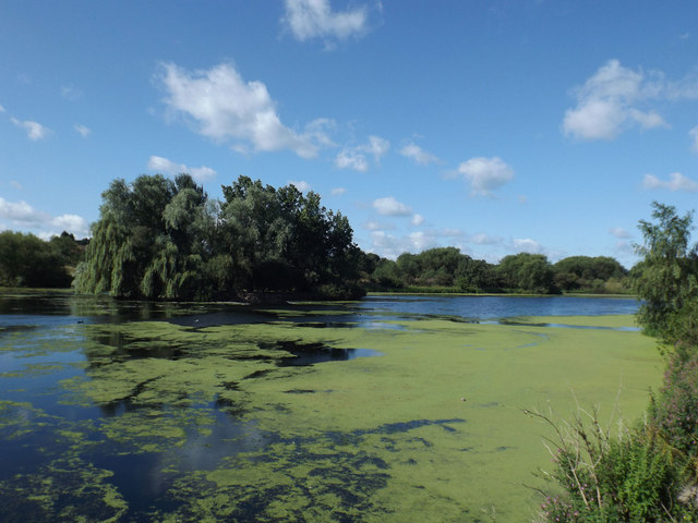 Babbs Mill Lake