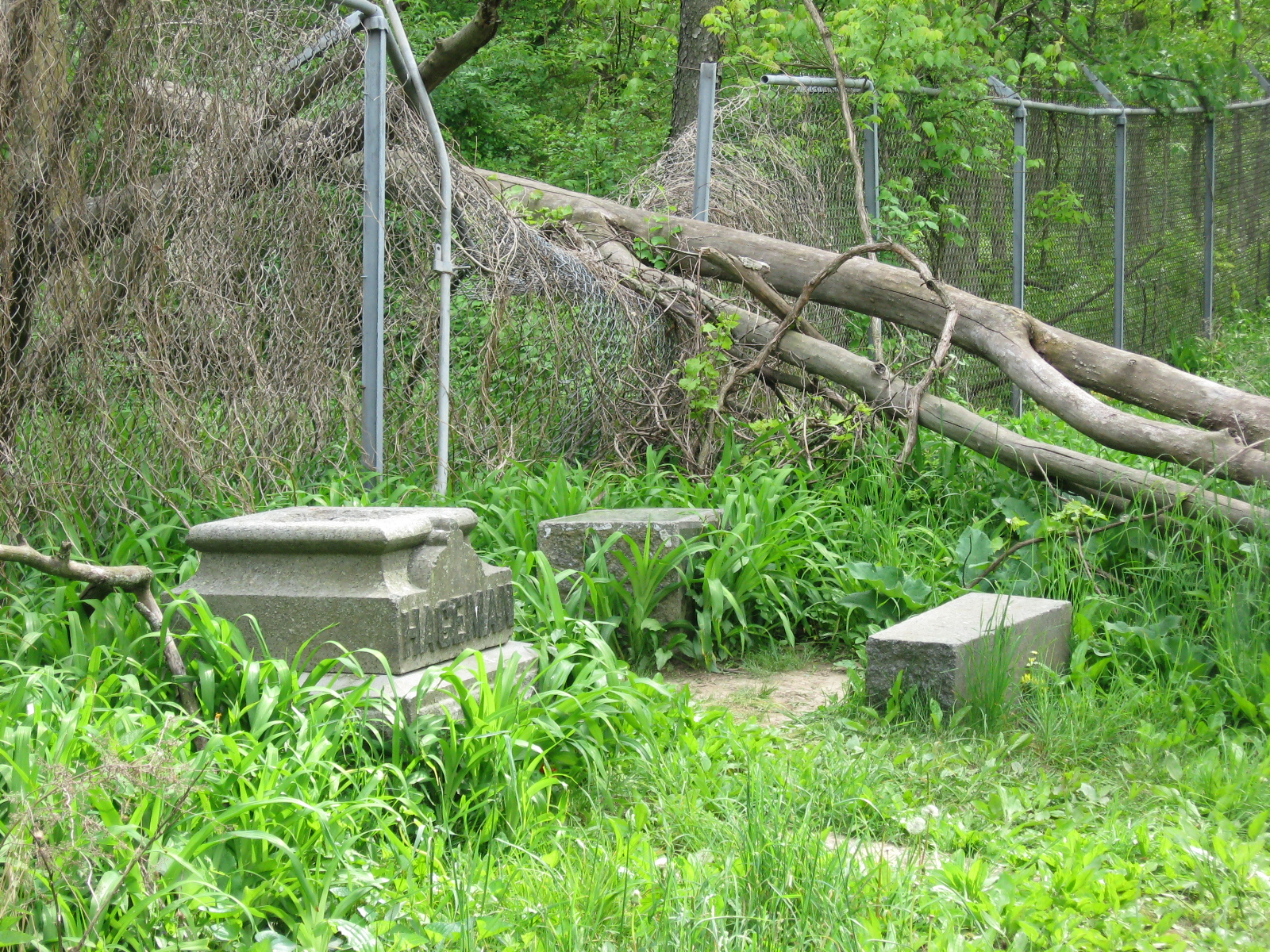 Misteri Fantasmi e spiriti al Cimitero di Bachelor s Grove - Bremen Township - Contea di Cook - Illinois - USA