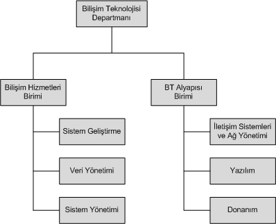 File:Bilişim Teknolojileri Departmanı (Temel).png