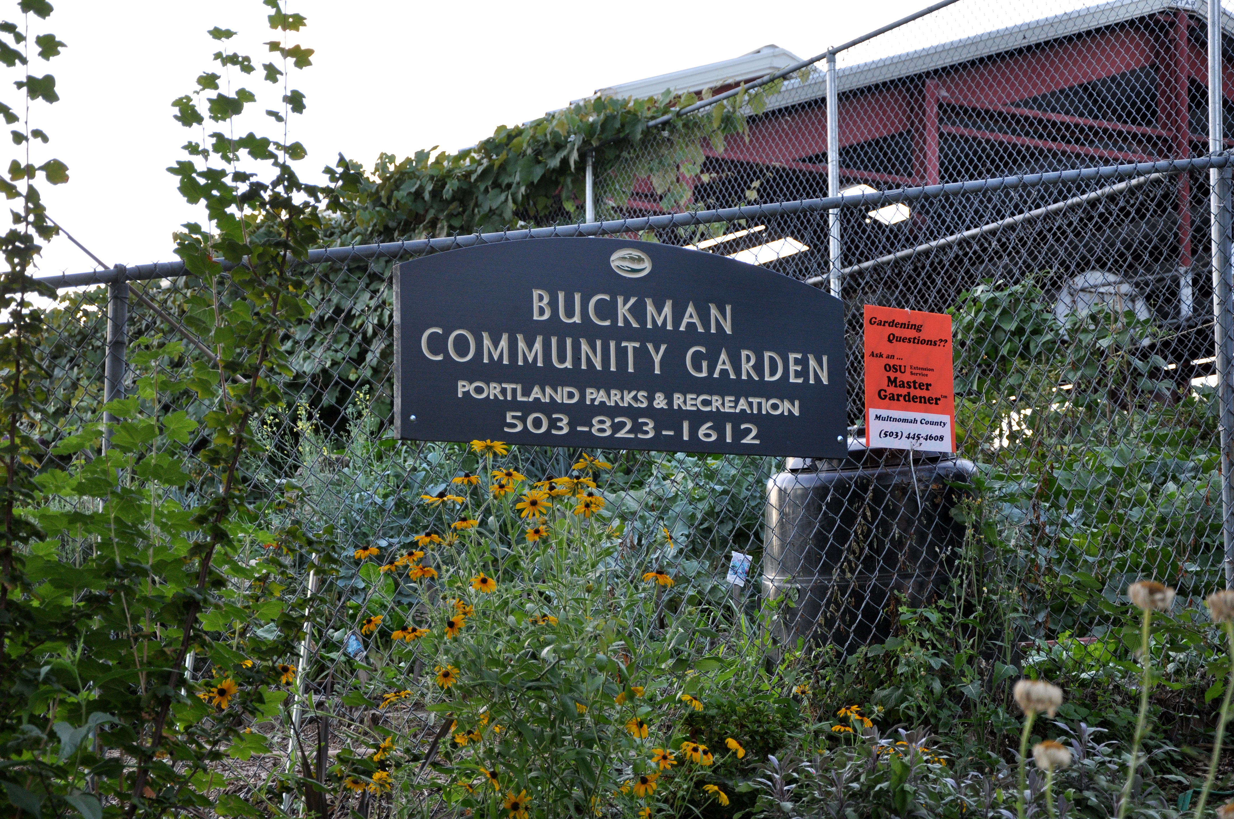 File Buckman Community Garden Jpg Wikimedia Commons