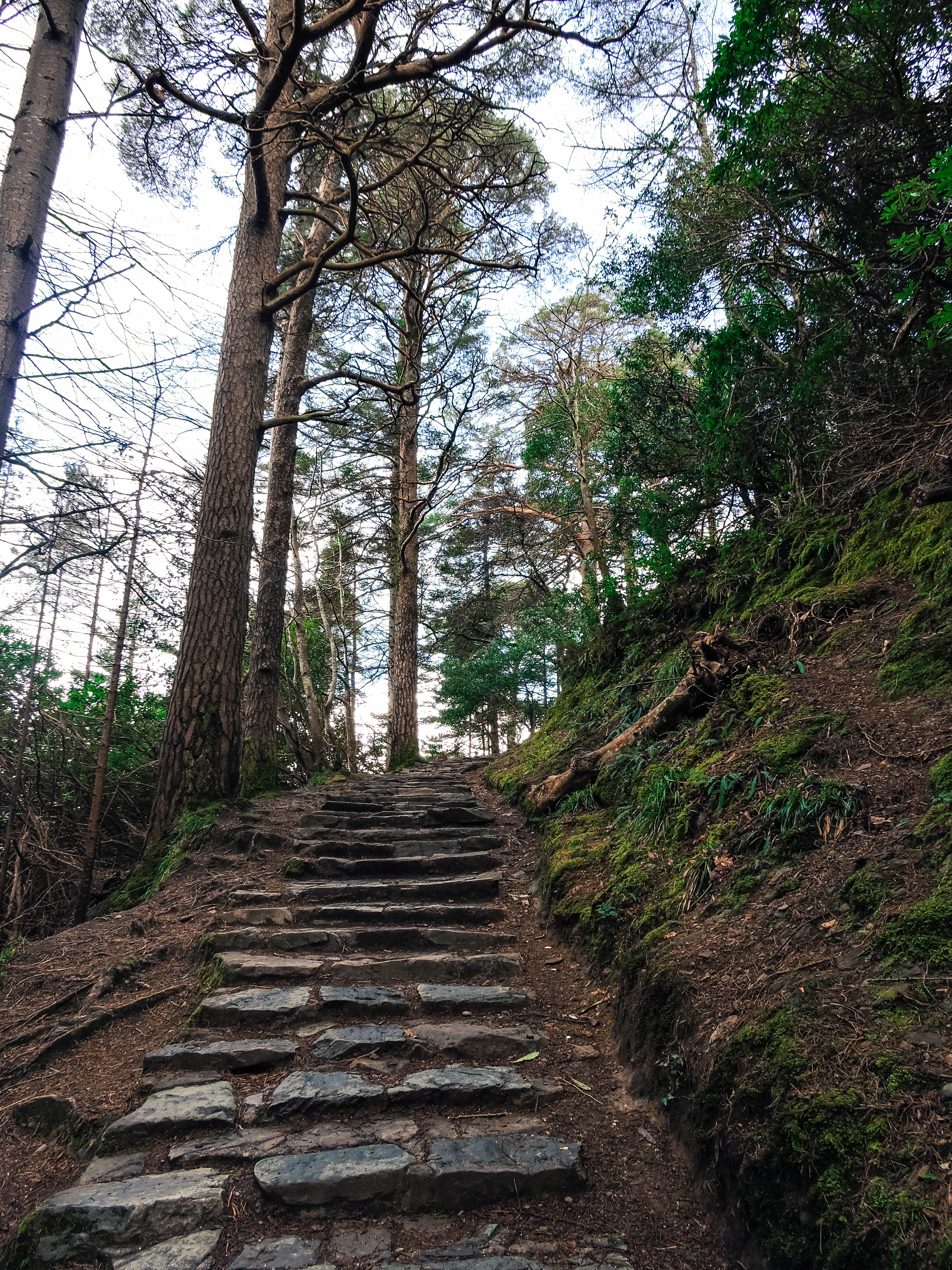 Hill steps