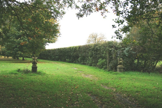 File:Carriage drive to Upper Gatton Park - geograph.org.uk - 1012182.jpg