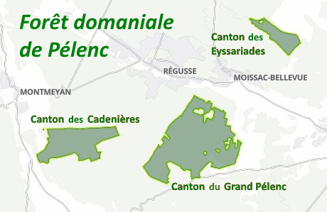 File:Carte forêt de Pélenc.png