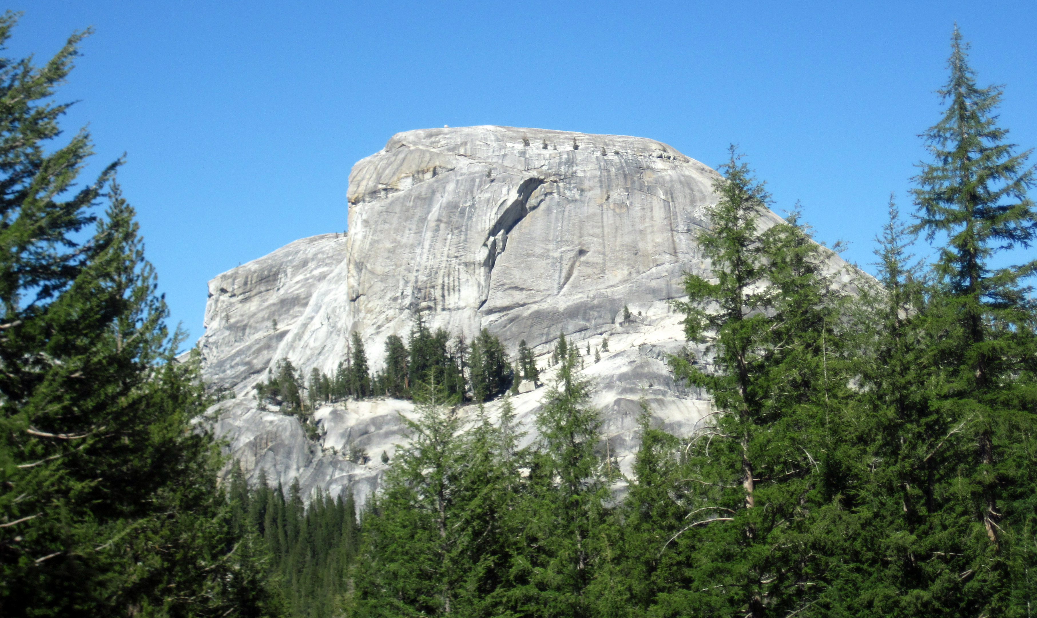 گرانودیوریت قله کلیسای جامع 
Granodiorite in the Cretaceous of California, USA. 