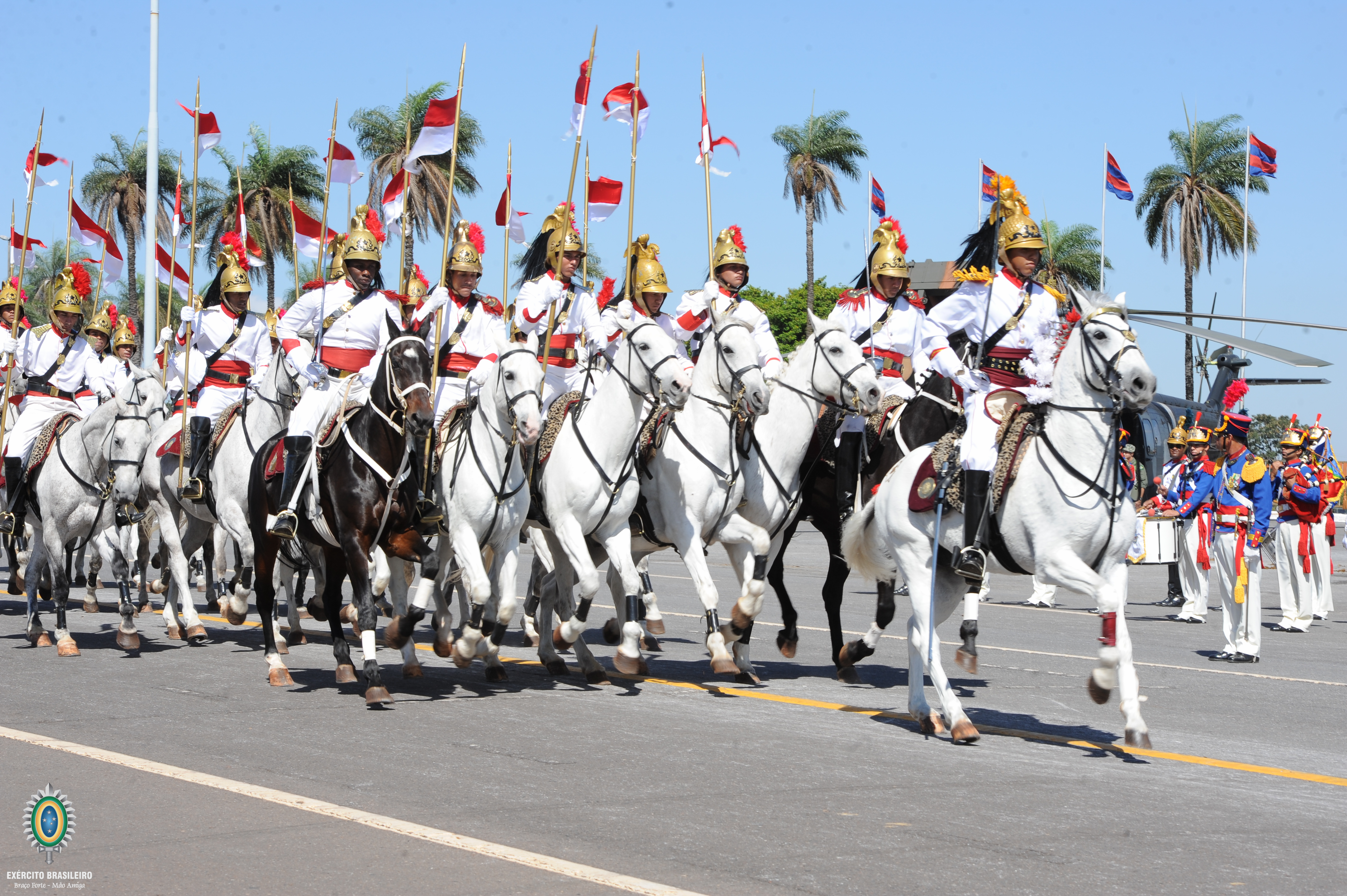 Cavalaria, Exército Brasileiro