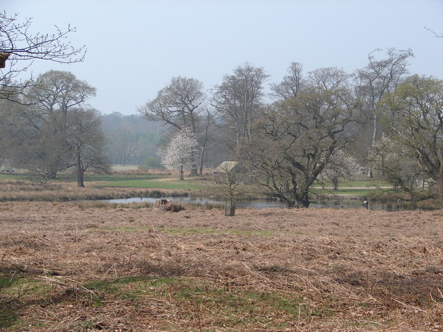 File:Deer Park - geograph.org.uk - 400493.jpg