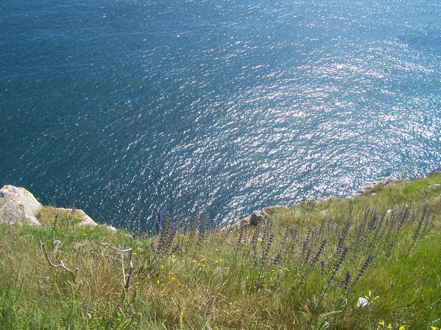 File:Durdle Door , From the Top Looking Down - geograph.org.uk - 1119741.jpg