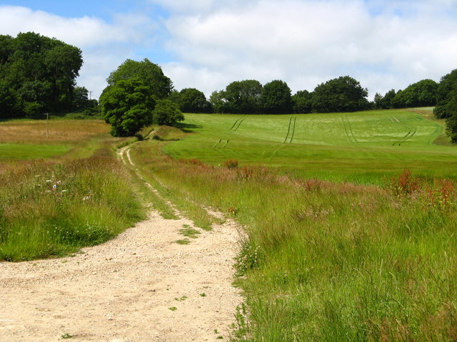 File:East Hill - geograph.org.uk - 864326.jpg