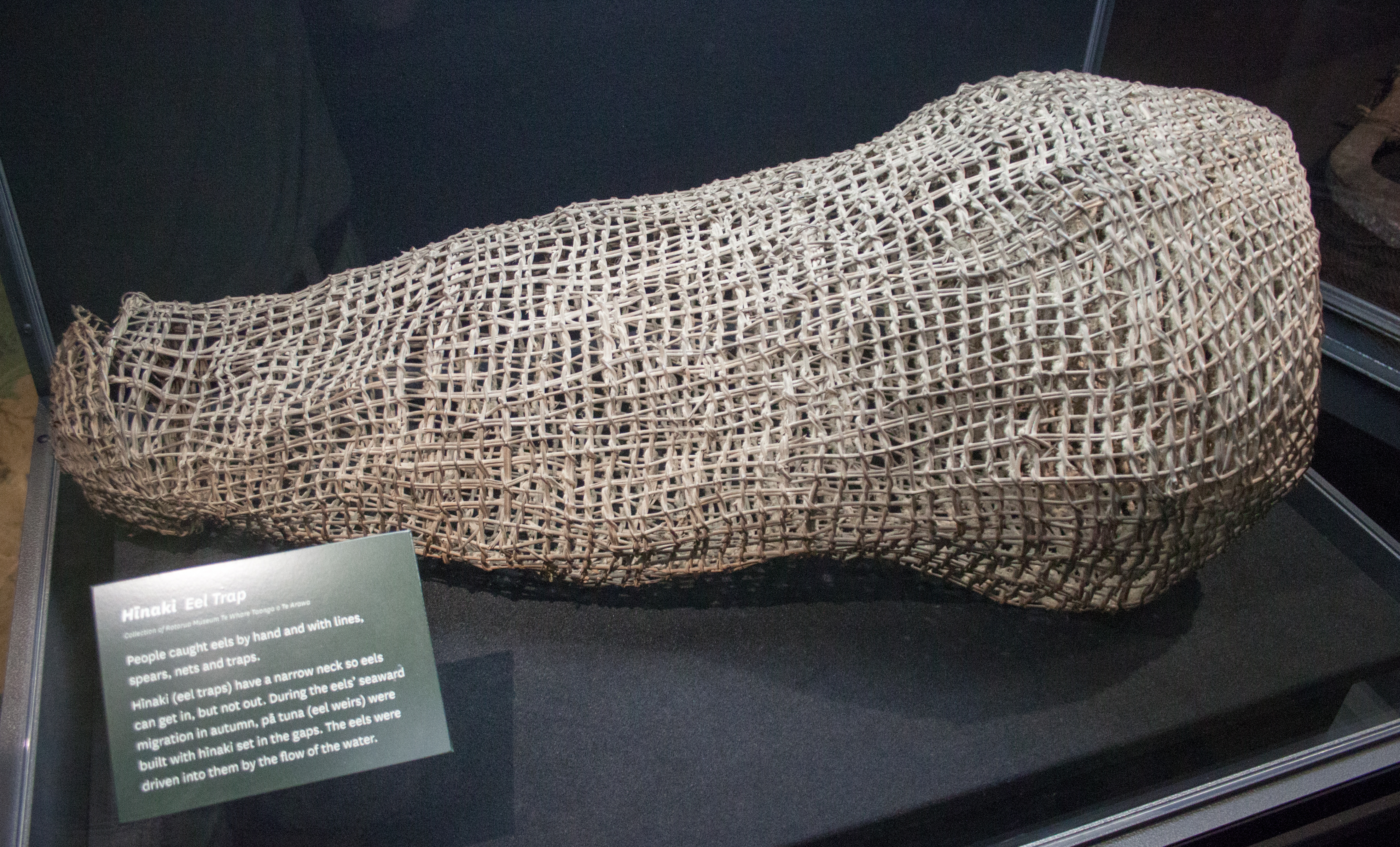 File:Eel trap in the Rotorua Museum.jpg - Wikimedia Commons