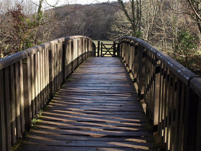 Footbridge over the Plym - geograph.org.uk - 1690618