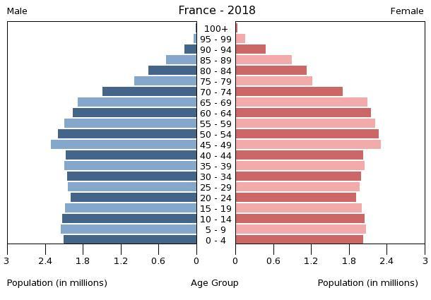 France's aging population is a challenge that goes far beyond the pensions  issue