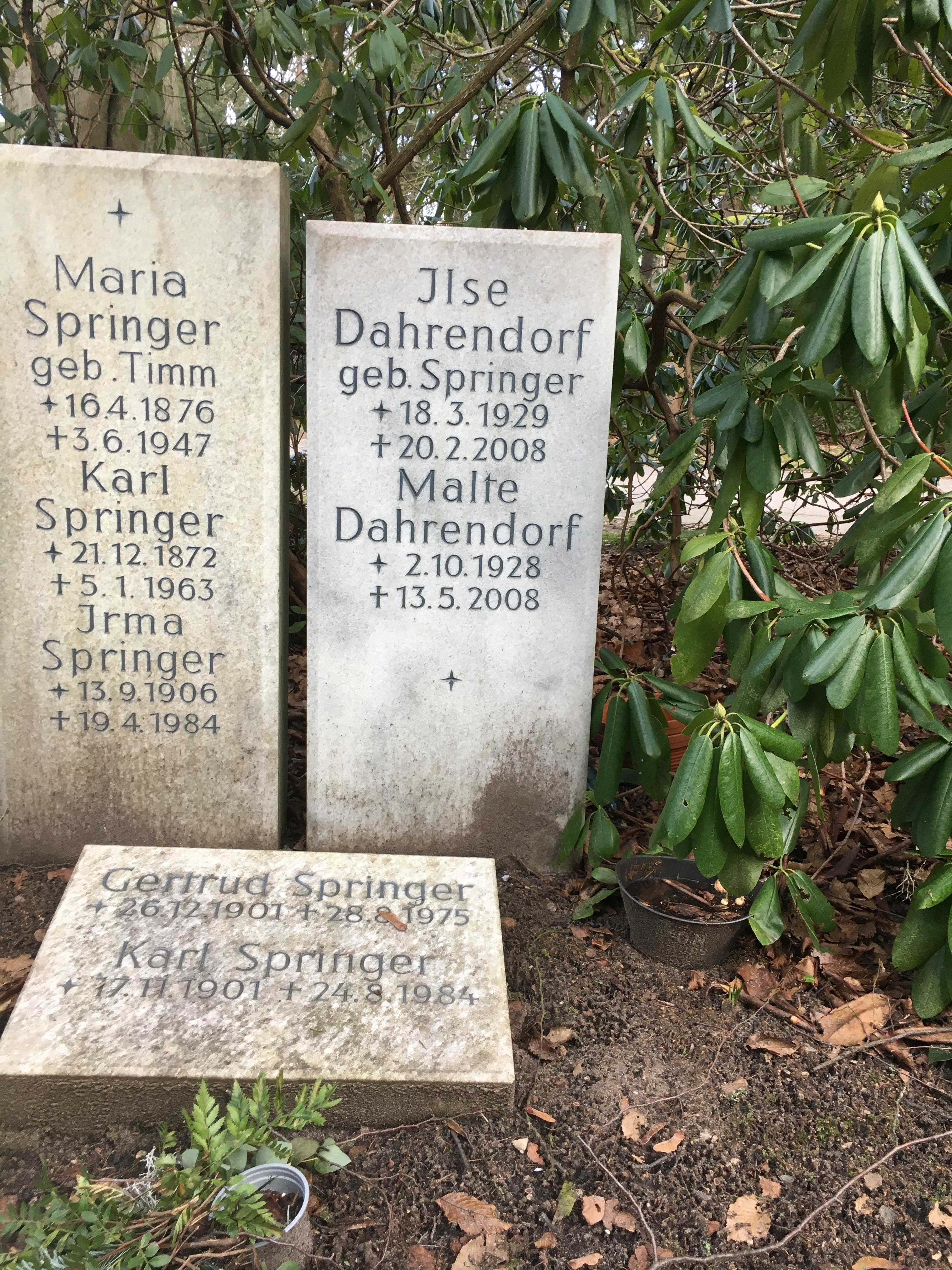 Grabstätte Malte Dahrendorf auf dem [[Friedhof Ohlsdorf