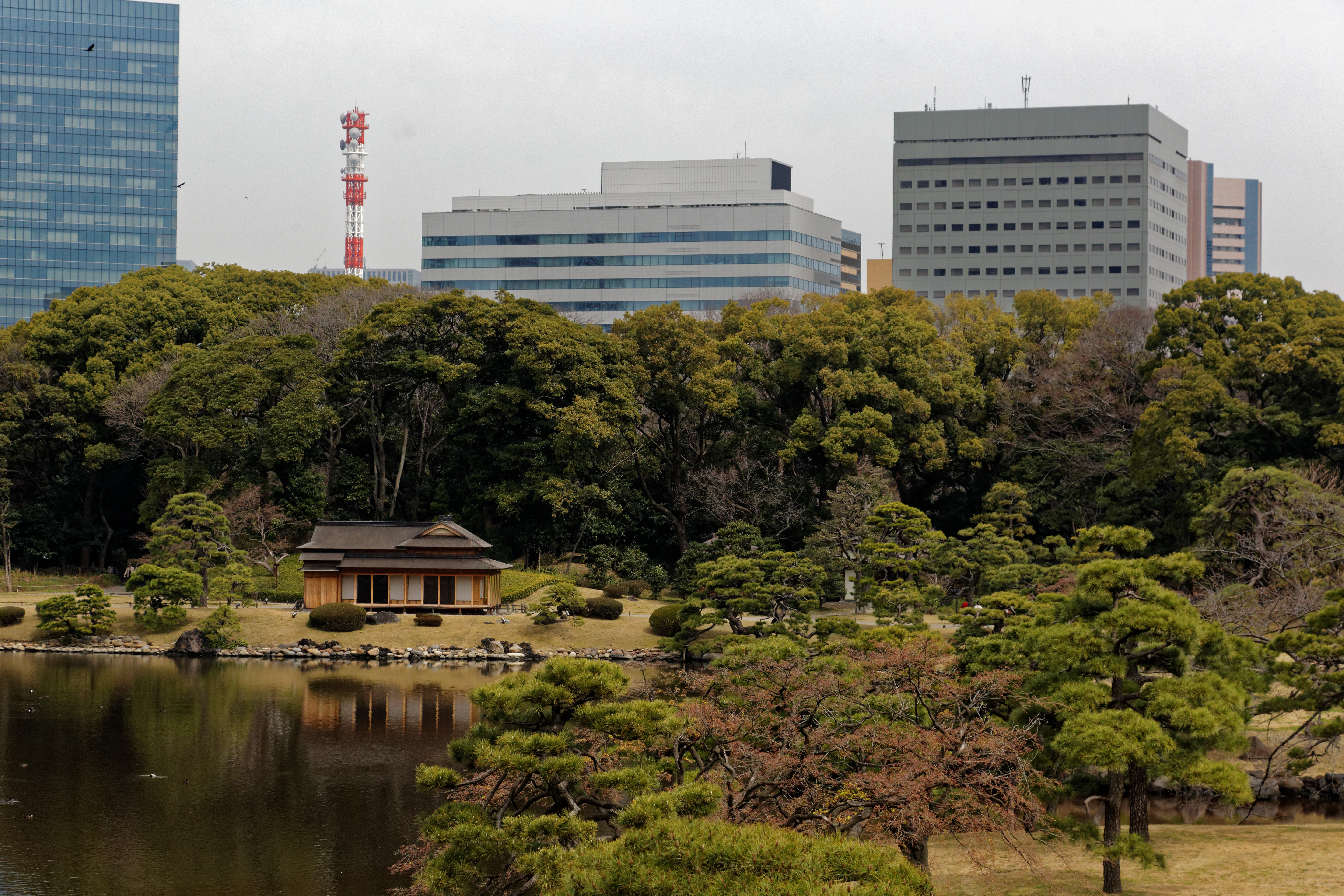 File Hama Rikyu Garden 3 23 25778500533 Jpg Wikimedia Commons