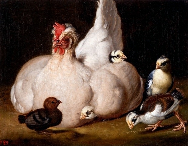 Hamilton White hen with chickens
