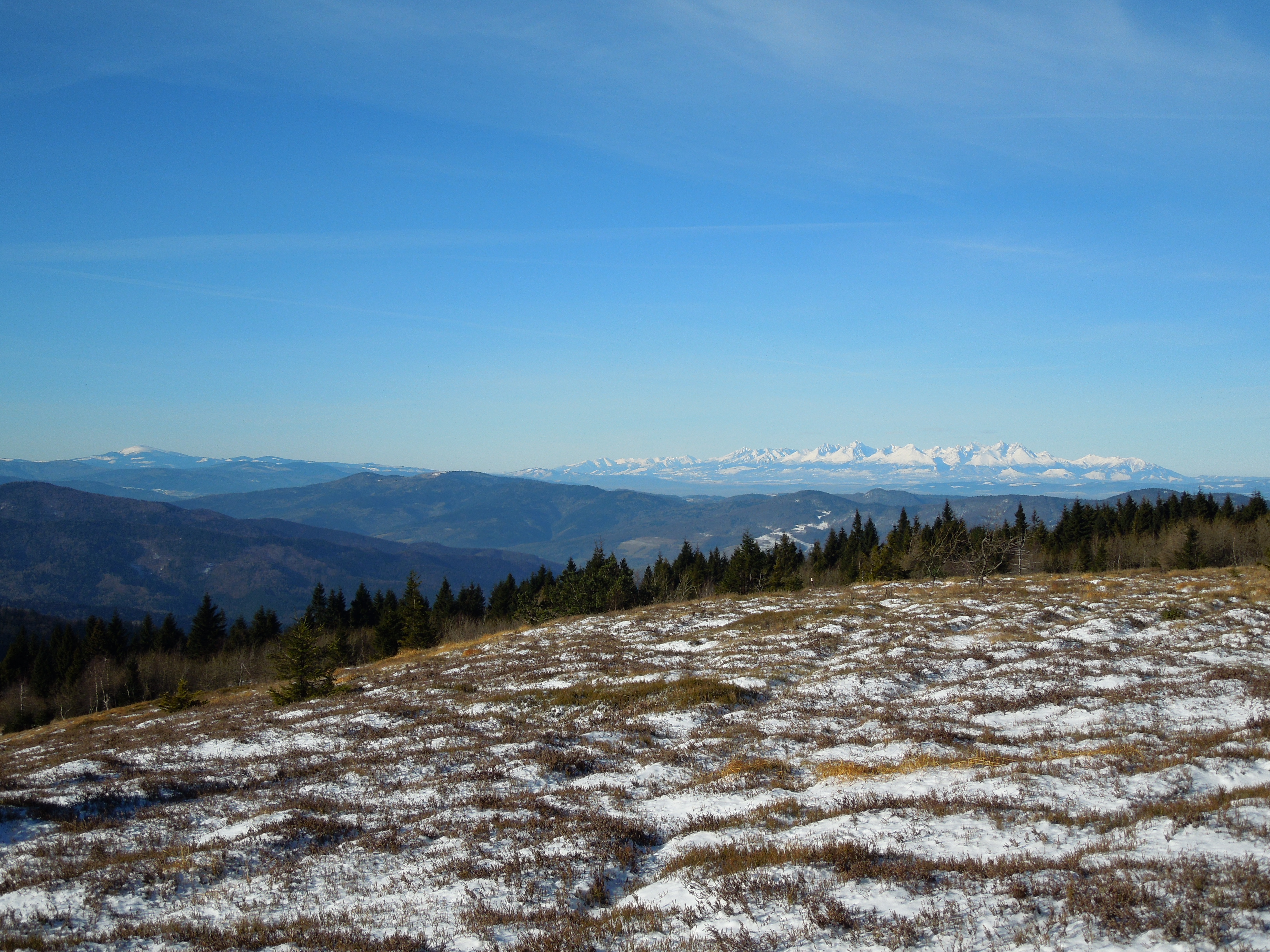 The Fascinating World on Top of Kojšovská hoľa