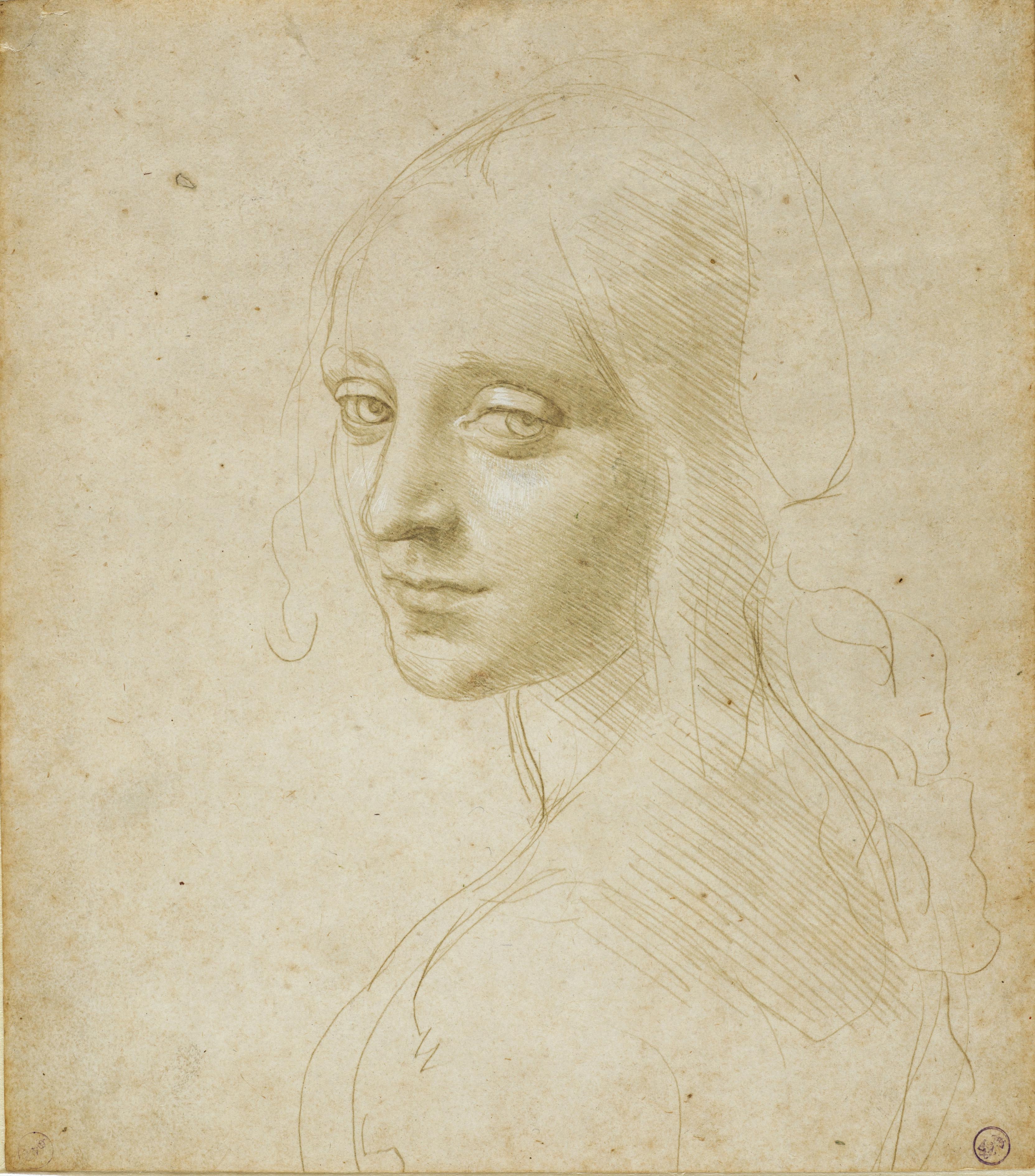 Tête d'une femme par Leonard de Vinci dans la bibliothèque du Palais Royal de Turin.