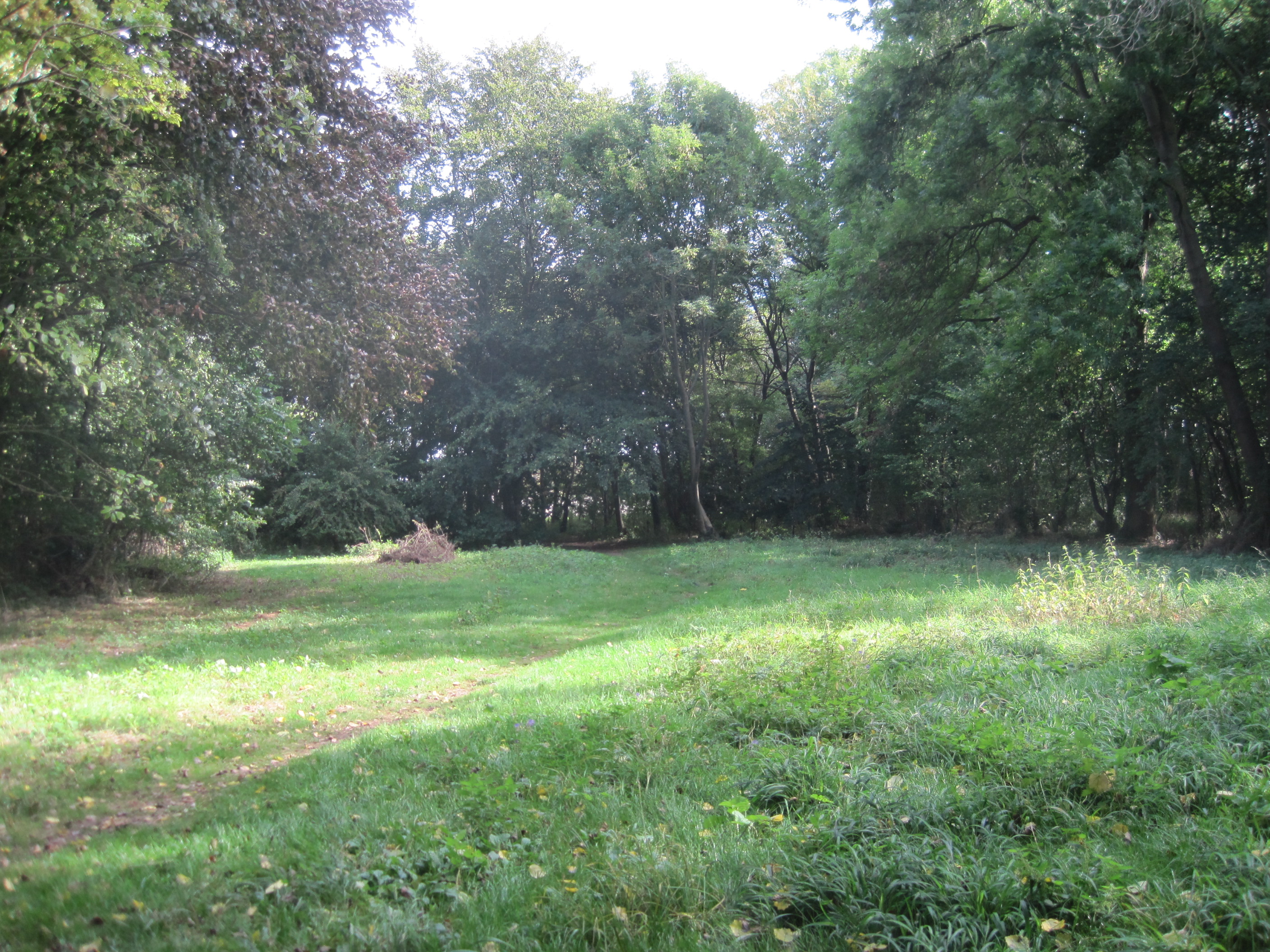 Melwood Local Nature Reserve
